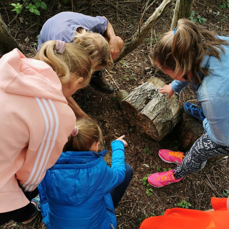 Kinder beugen sich gemeinsam über einen Stamm Wald und erkunden die Natur.