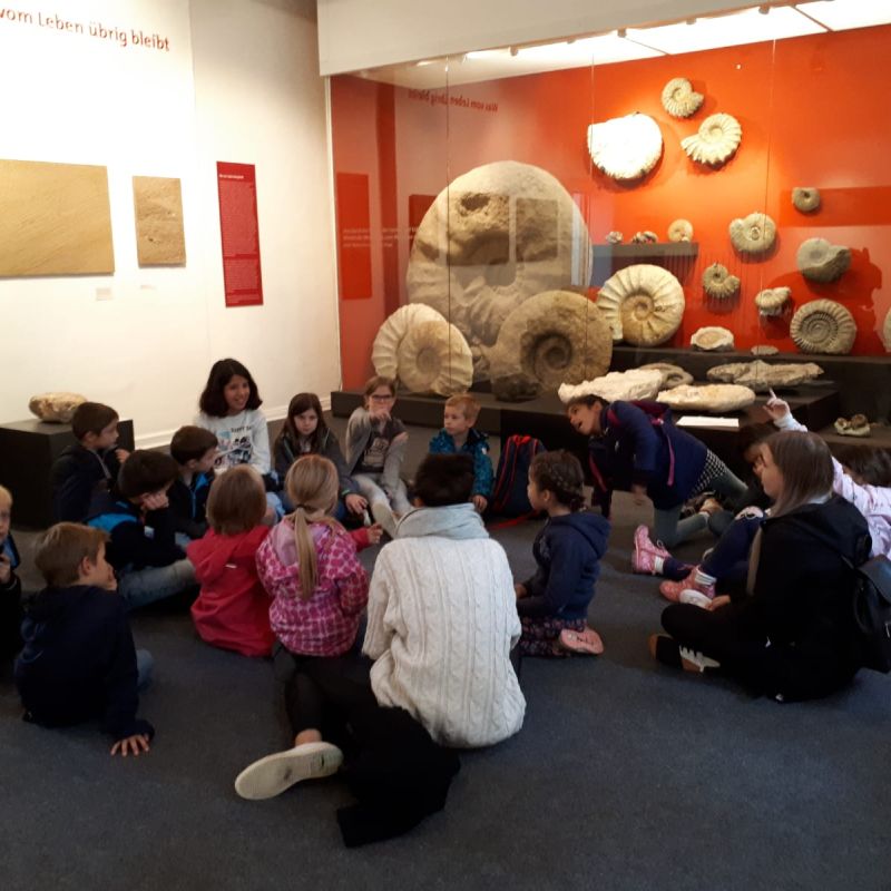 Kinder sitzen zusammen auf dem Boden im Mineralienmuseum und betrachten große und kleine alte Fossilien hinter einer Glaswand.
