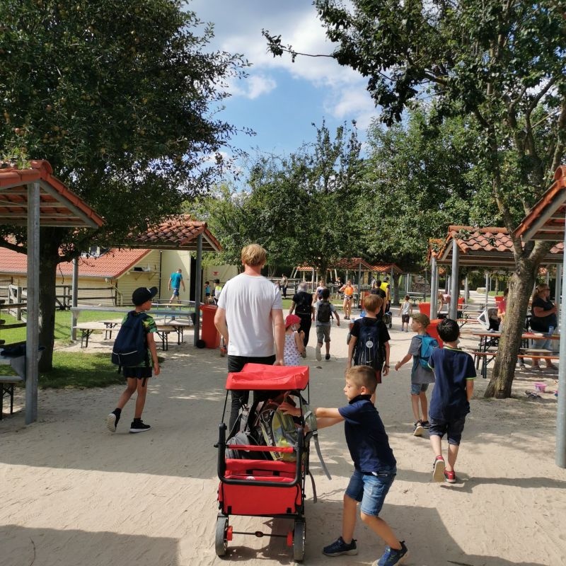 Eine Gruppe Kinder macht mit einem Betreuer einen Ausflug in den Streichelzoo.