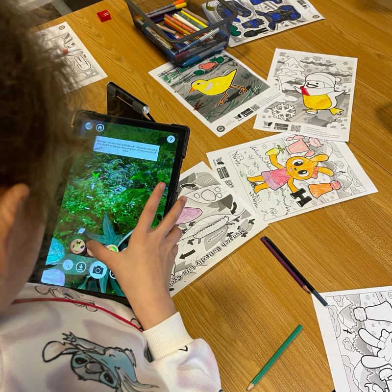 Ein Kind testet die App Quiver auf einem Tablet und wird dabei in seiner Medienkompetenz gefördert.