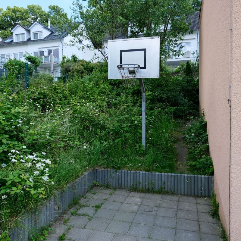 Basektballkorb mit gefliestem Platz zum spielen.