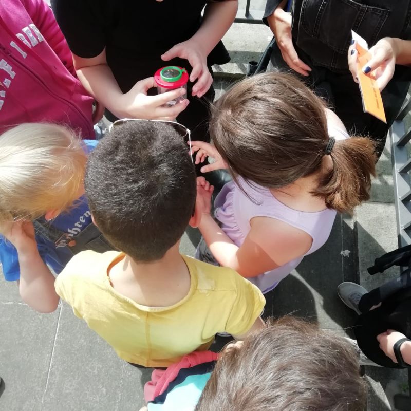 Kinder stehen eng im Kreis und schauen sich gemeinsam ein Insekt durch ein Lupenglas an, das sie während der Mobilen Arbeit in Kupferdreh entdeckt haben.